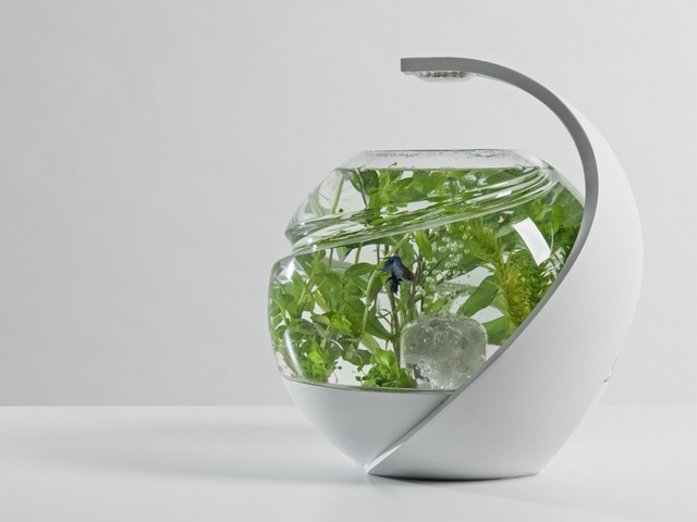 Miniature de la vidéo du projet Avo: the self-cleaning tropical fish tank