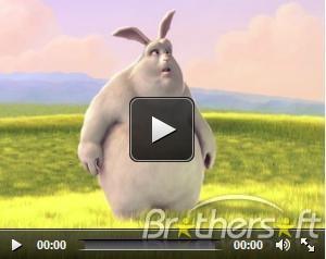 tally 7.2 release 3.14 crack