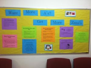 sleep sense program pdf